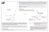 coo1e02 nz to australia_thumb.gif